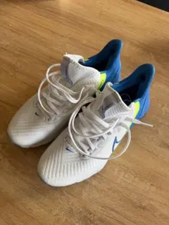 2026年最新】nike エア ズーム インフィニティ ツアー ネクスト% nrgの