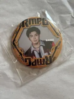 2026年最新】武知海青の人気アイテム - メルカリ