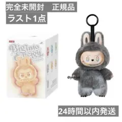 2026年最新】POPMART labubu シークレットの人気アイテム - メルカリ