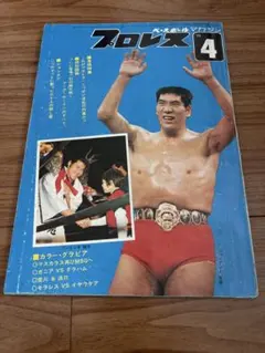 2026年最新】ザ・デストロイヤーの人気アイテム - メルカリ