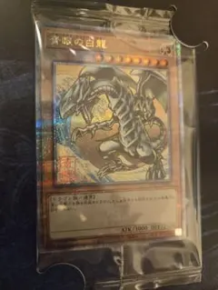 2026年最新】遊戯王 ブルーアイズホワイトドラゴン 25thの人気アイテム