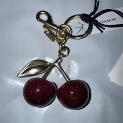 2026年最新】coach チェリーバッグの人気アイテム - メルカリ