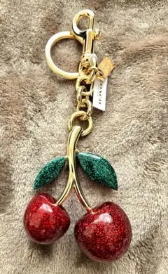 2026年最新】coach チェリーの人気アイテム - メルカリ