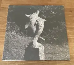 2026年最新】青葉市子の人気アイテム - メルカリ