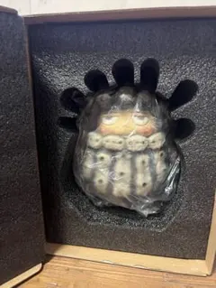 2026年最新】RObin copiapoaの人気アイテム - メルカリ