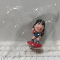 2026年最新】プロ格ヒーローズ 女子の人気アイテム - メルカリ