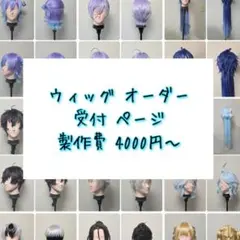 2026年最新】ウィッグ オーダーの人気アイテム - メルカリ