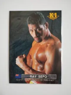 2026年最新】レイ・セフォーの人気アイテム - メルカリ