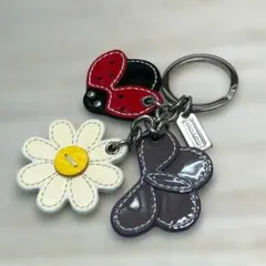 2026年最新】コーチキーホルダーてんとう虫の人気アイテム - メルカリ