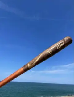 2026年最新】鳥谷敬 バットの人気アイテム - メルカリ