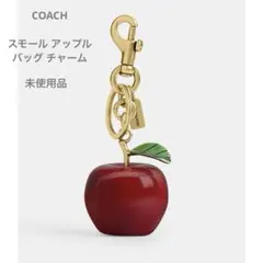 2026年最新】COACH スモール アップル バッグ チャームの人気アイテム