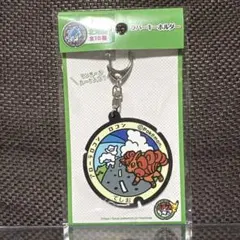 2026年最新】ポケふた キーホルダーの人気アイテム - メルカリ
