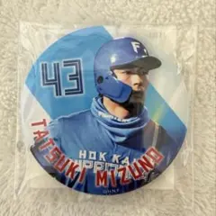 2026年最新】水野達稀 ユニフォームの人気アイテム - メルカリ