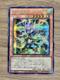 2026年最新】耀聖の風詩レギナ シークレットの人気アイテム - メルカリ