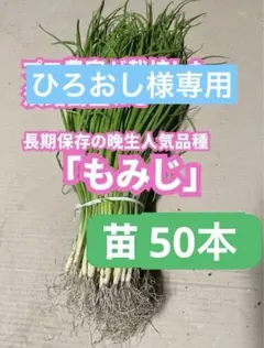 2026年最新】淡路島玉ねぎ苗の人気アイテム - メルカリ