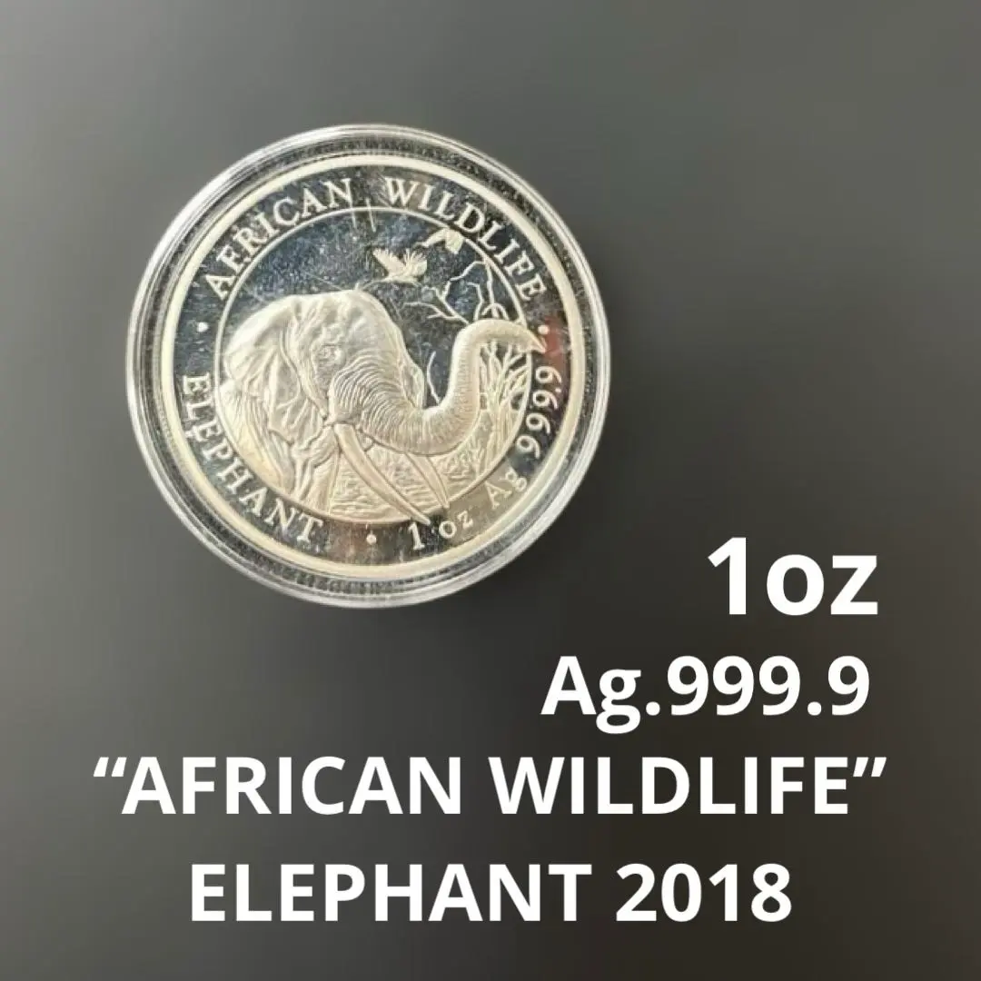 2026年最新】ソマリア コインの人気アイテム - メルカリ