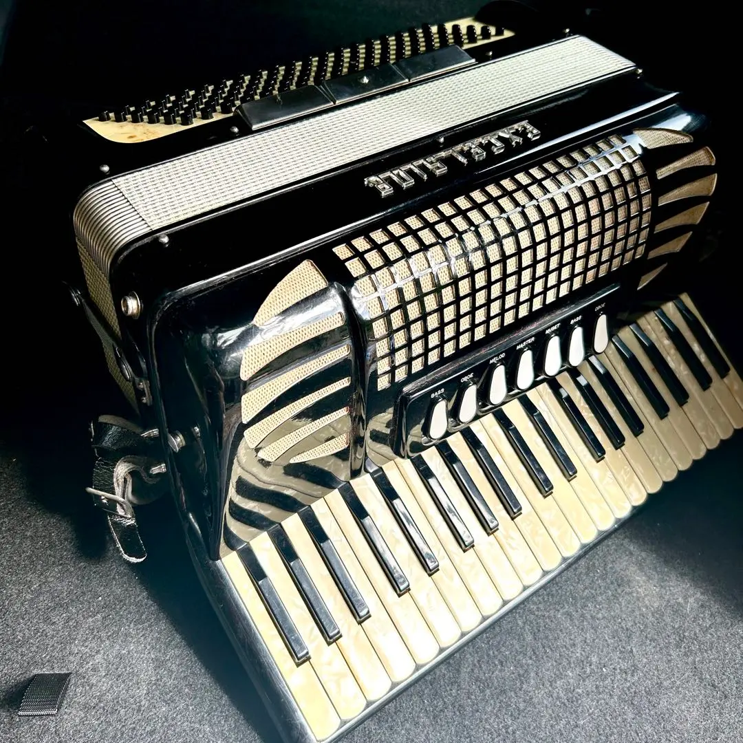 2026年最新】excelsior 400 アコーディオンの人気アイテム - メルカリ