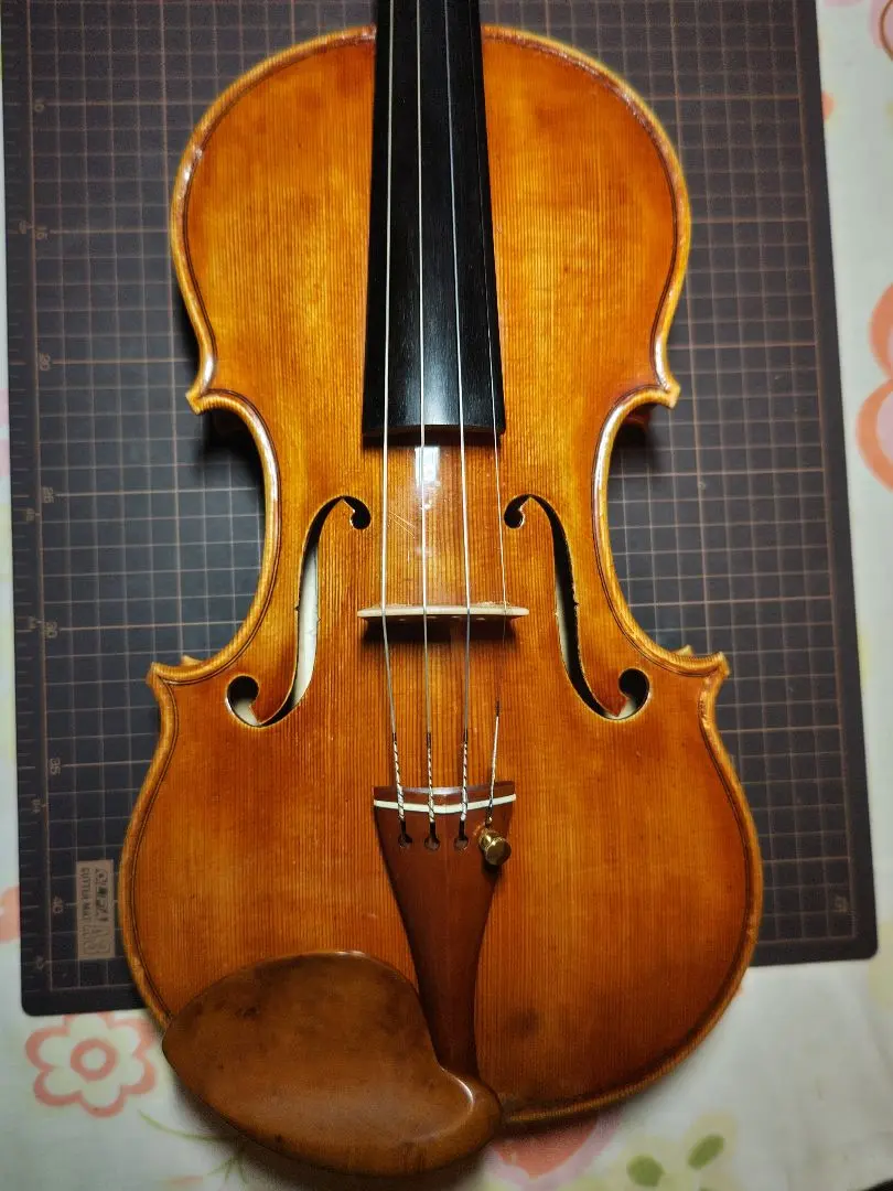 2026年最新】バイオリン 4/4 イタリアの人気アイテム - メルカリ