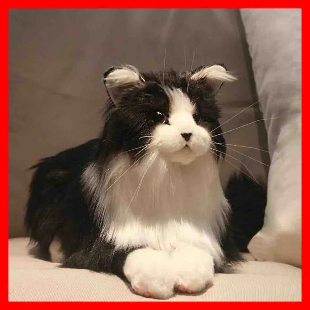 2026年最新】Chongkerの人気アイテム - メルカリ