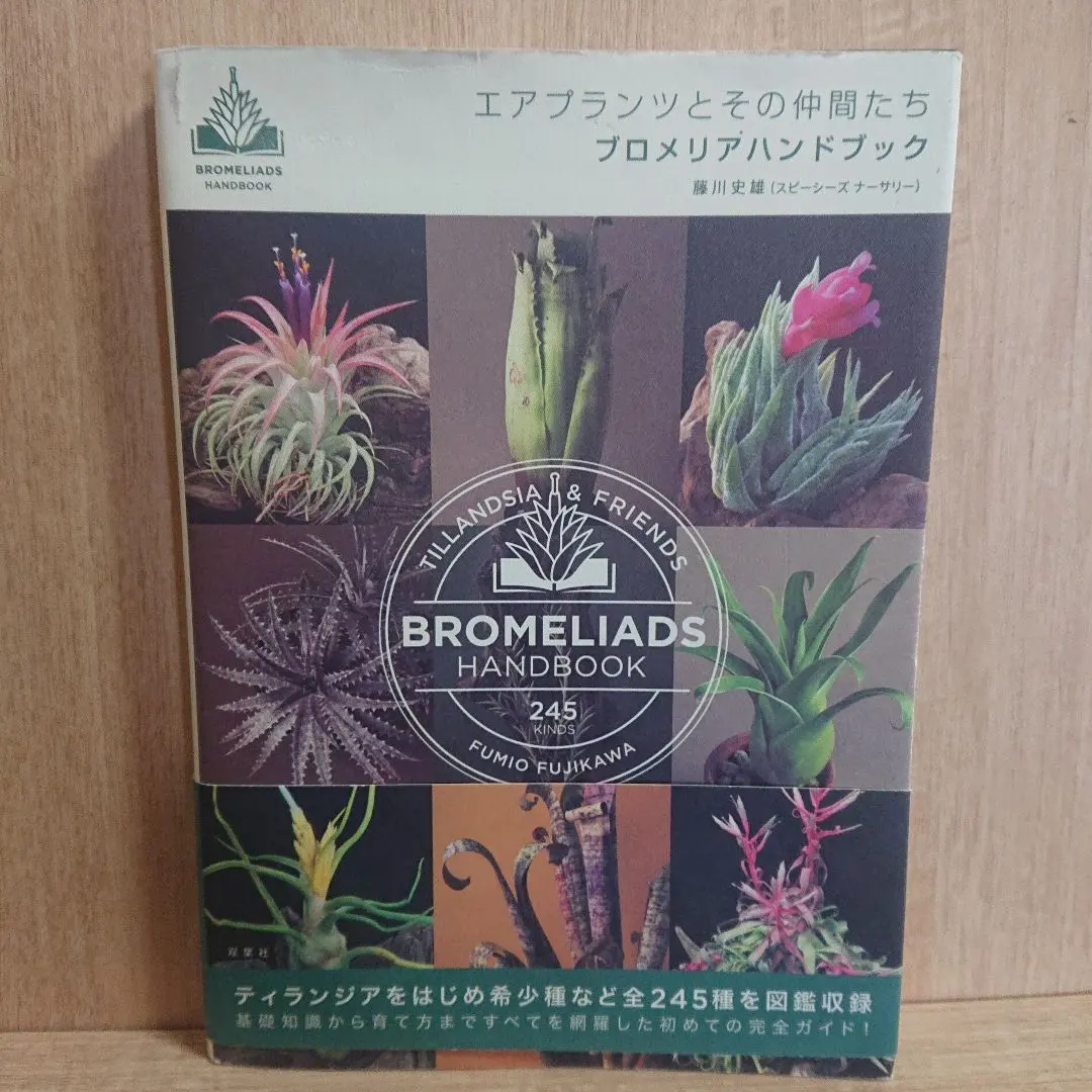 2026年最新】ティランジア・ハンドブックの人気アイテム - メルカリ