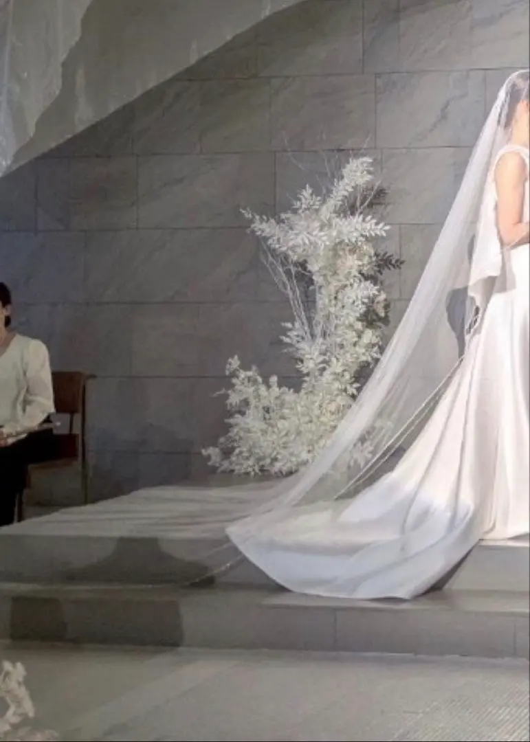 2026年最新】タカミブライダル ベール ラメの人気アイテム - メルカリ