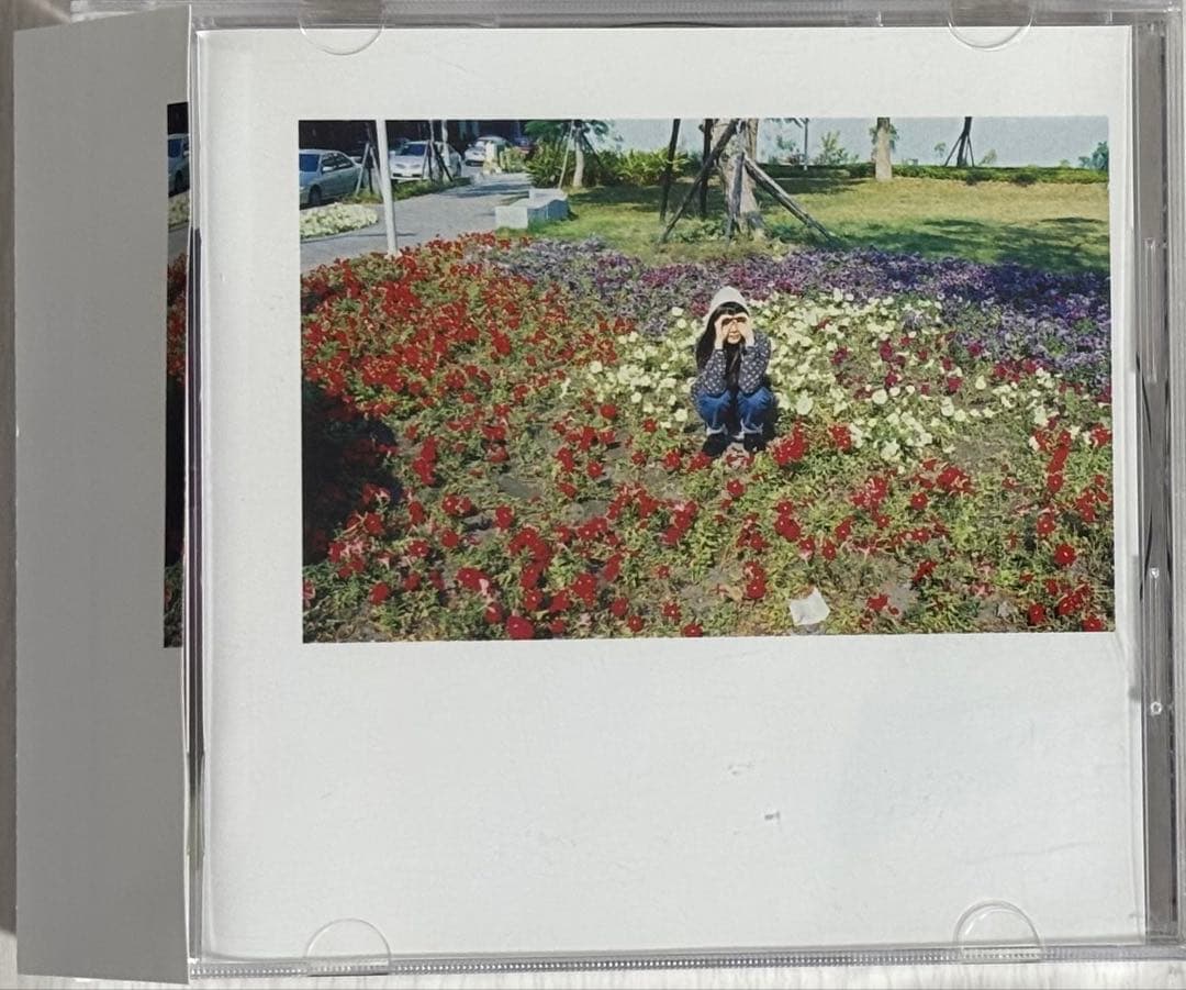 銀杏BOYZ / 光のなかに立っていてね 峯田和伸 - メルカリ