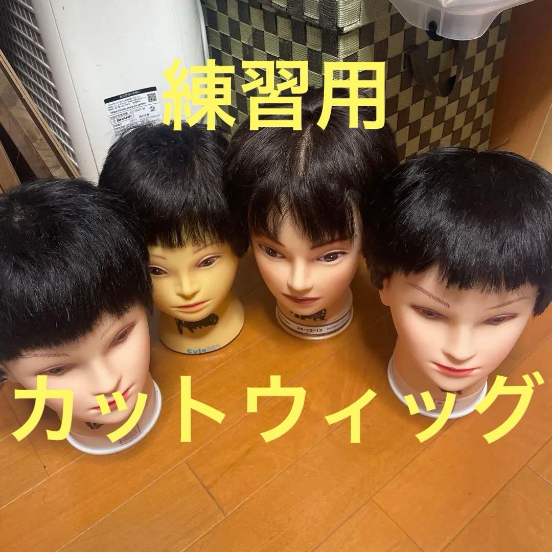 カットウィッグ 練習用 使用済 理容師 刈り上げ 中古 短め 国家試験 ①