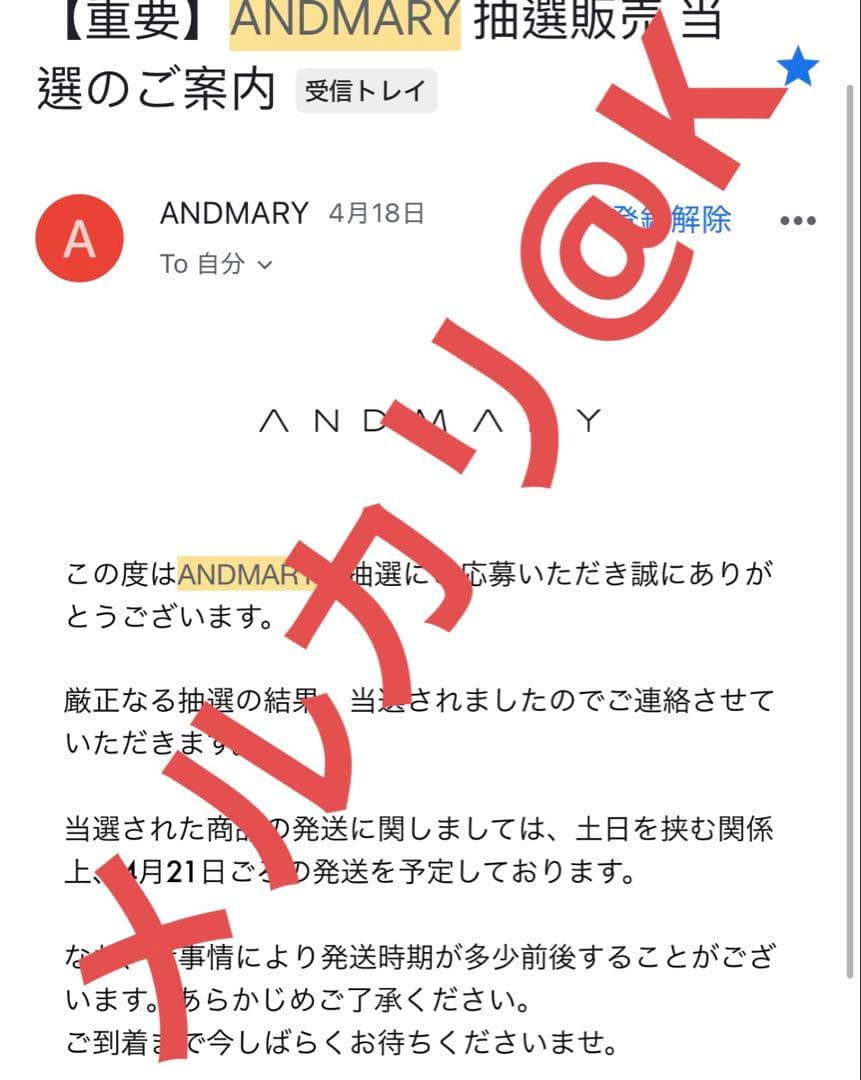 ANDMARY アンドマリー　Nadia check swimsuit 水着