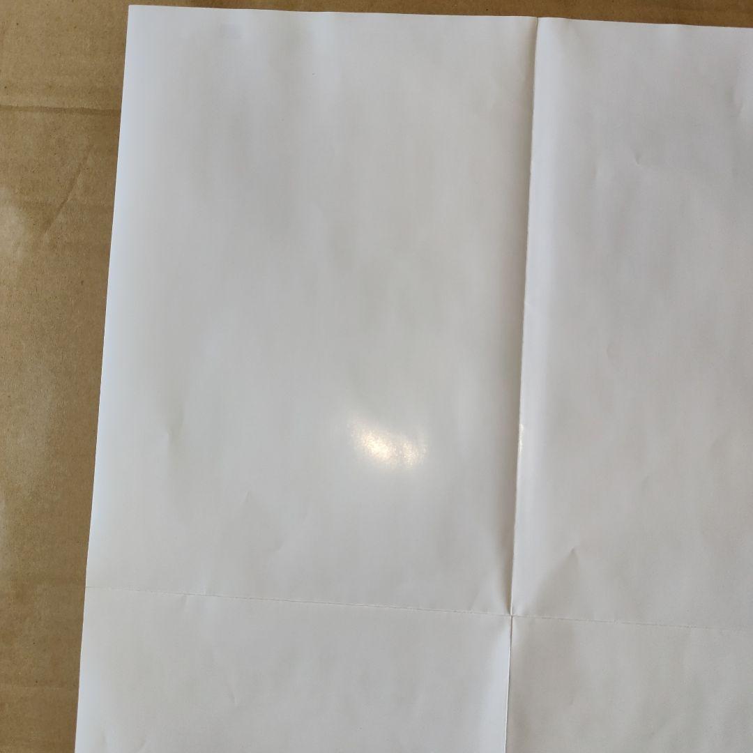 り*し様 その着せ替え人形は恋をする 販促ポスター 1枚