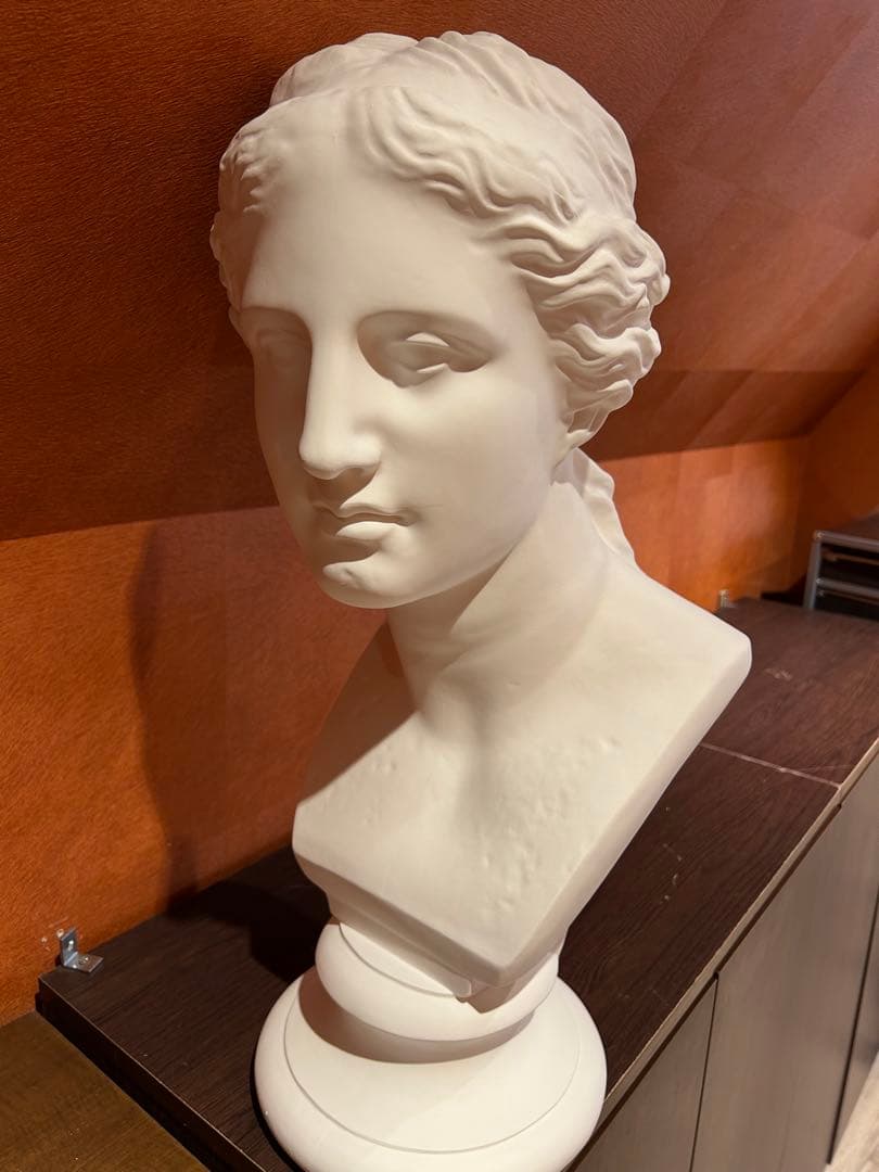 ミロのヴィーナス　石膏像　デッサン　アート　芸術　美術 パリからお越しのミロのヴィーナス―京都高等工芸学校のデッサン教育