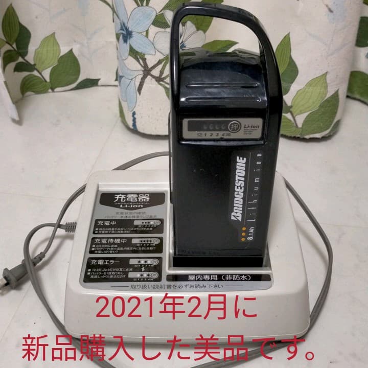 鉄布衫功 (てっぷざんこう) 筋膜・腱・骨を鍛えるタオ気功