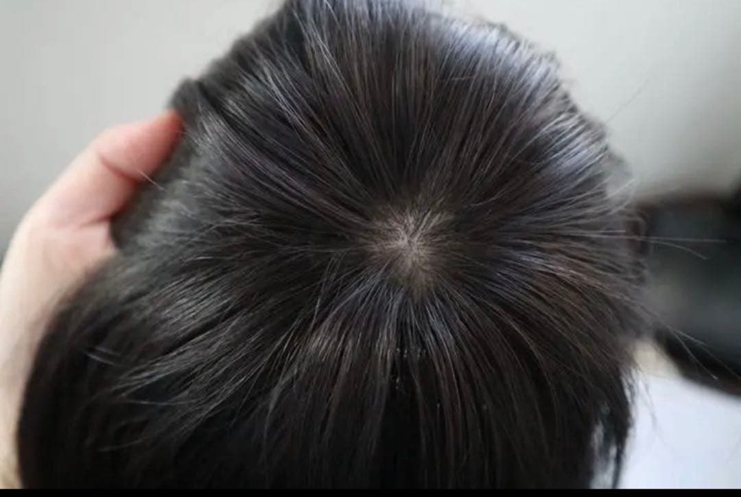 ☆人毛100%☆部分ウィッグ かつら 白髪隠しW45