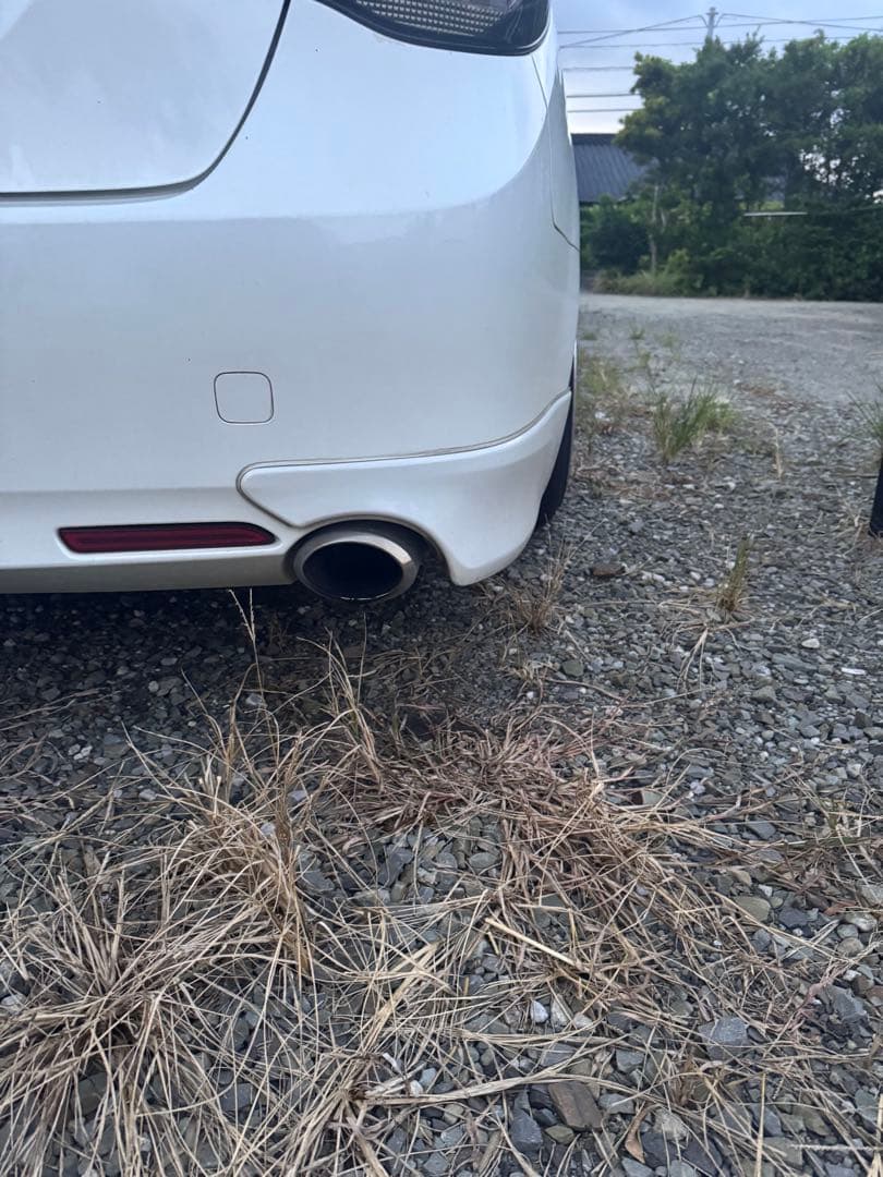 ドラゴンスリーキャッツステンレスマフラー マークX スリーキャッツ GRX130 130マークX G's 95Φオーバル 4本出し 直管