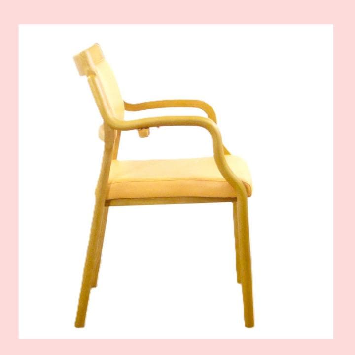 軽量介護用椅子 ステッキホルダー付き 5.5kg　AC-102　貞苅椅子製作所