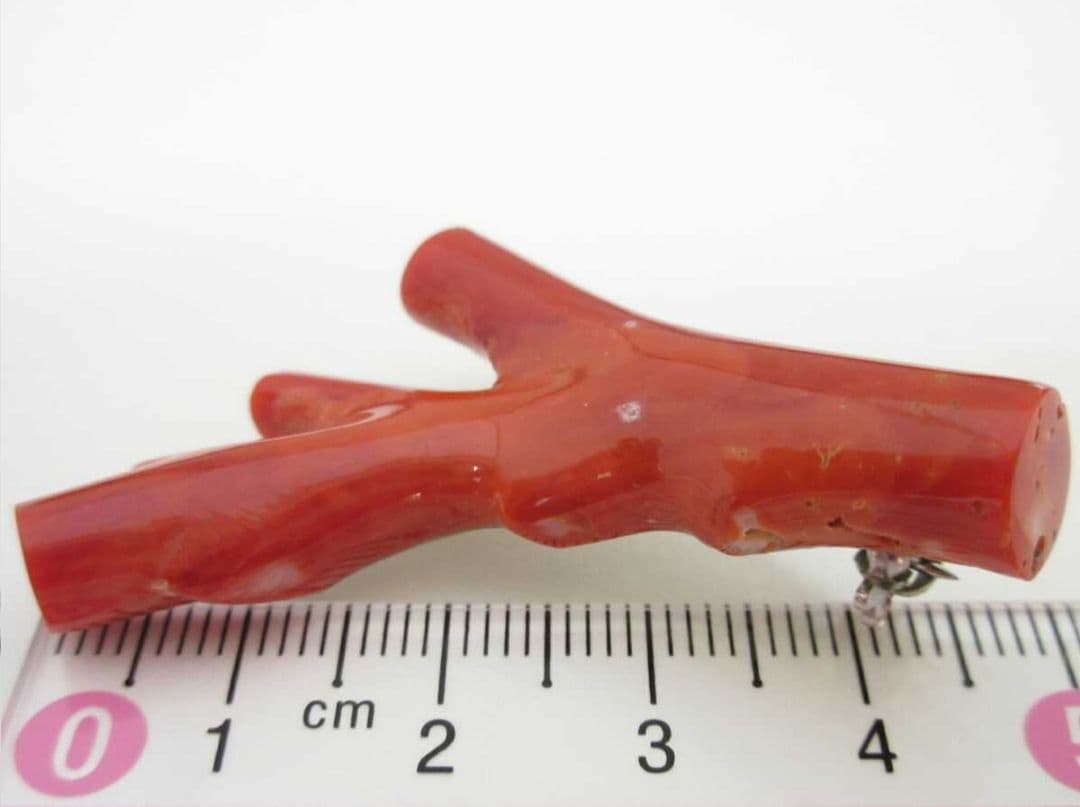 血赤珊瑚 サンゴ 9.7g ブローチ 本珊瑚 h49a