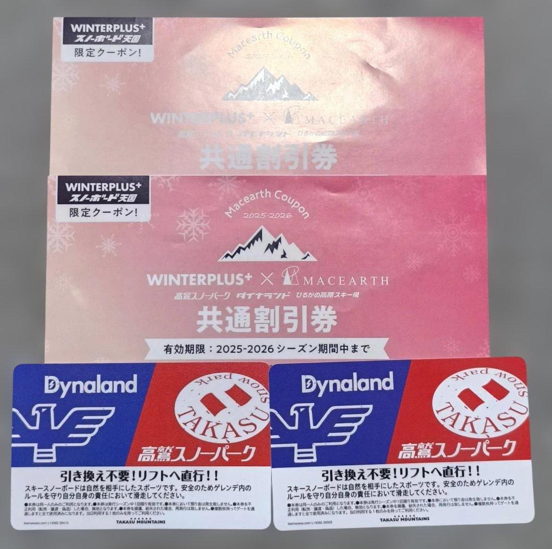 新品 高鷲スノーパーク ＆ ダイナランド 共通 リフト券 2枚 土日祝利用