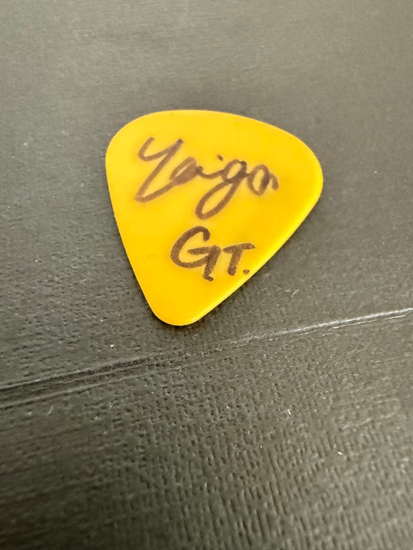 シンガーズハイ ほりたいが サイン入りギターピック