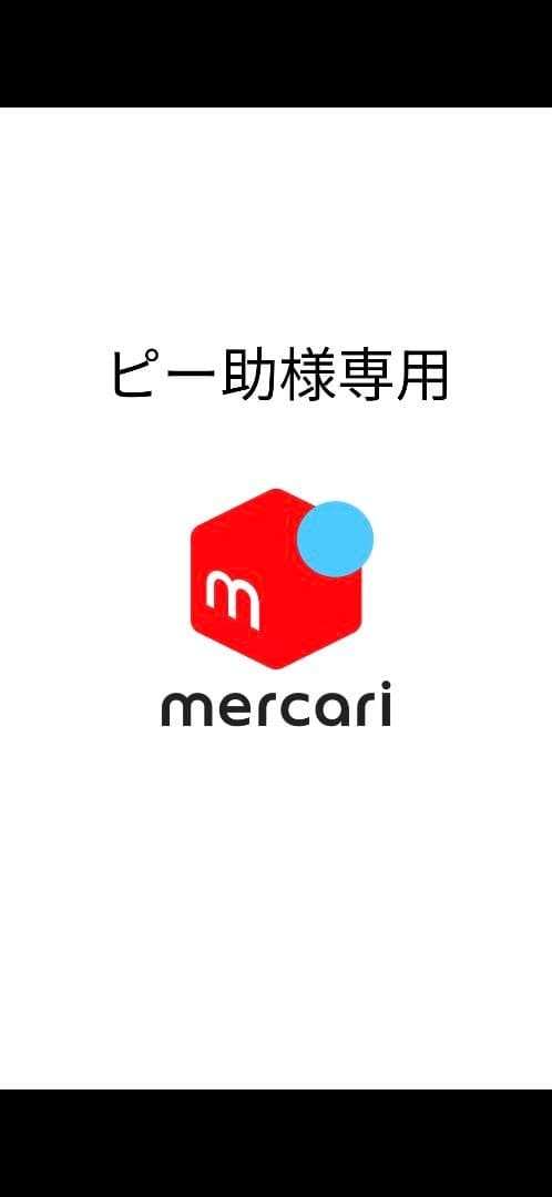 ピー助ページ Catalog] 1991 Nissan 180SX brochure RPS13 PS13 240SX twincam turbo