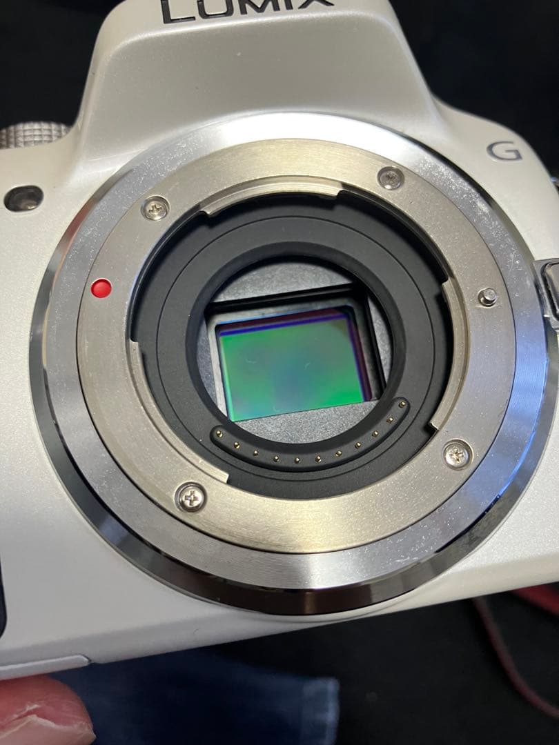 楽一番公式アカウント04様専用 Panasonic DMC-G5W