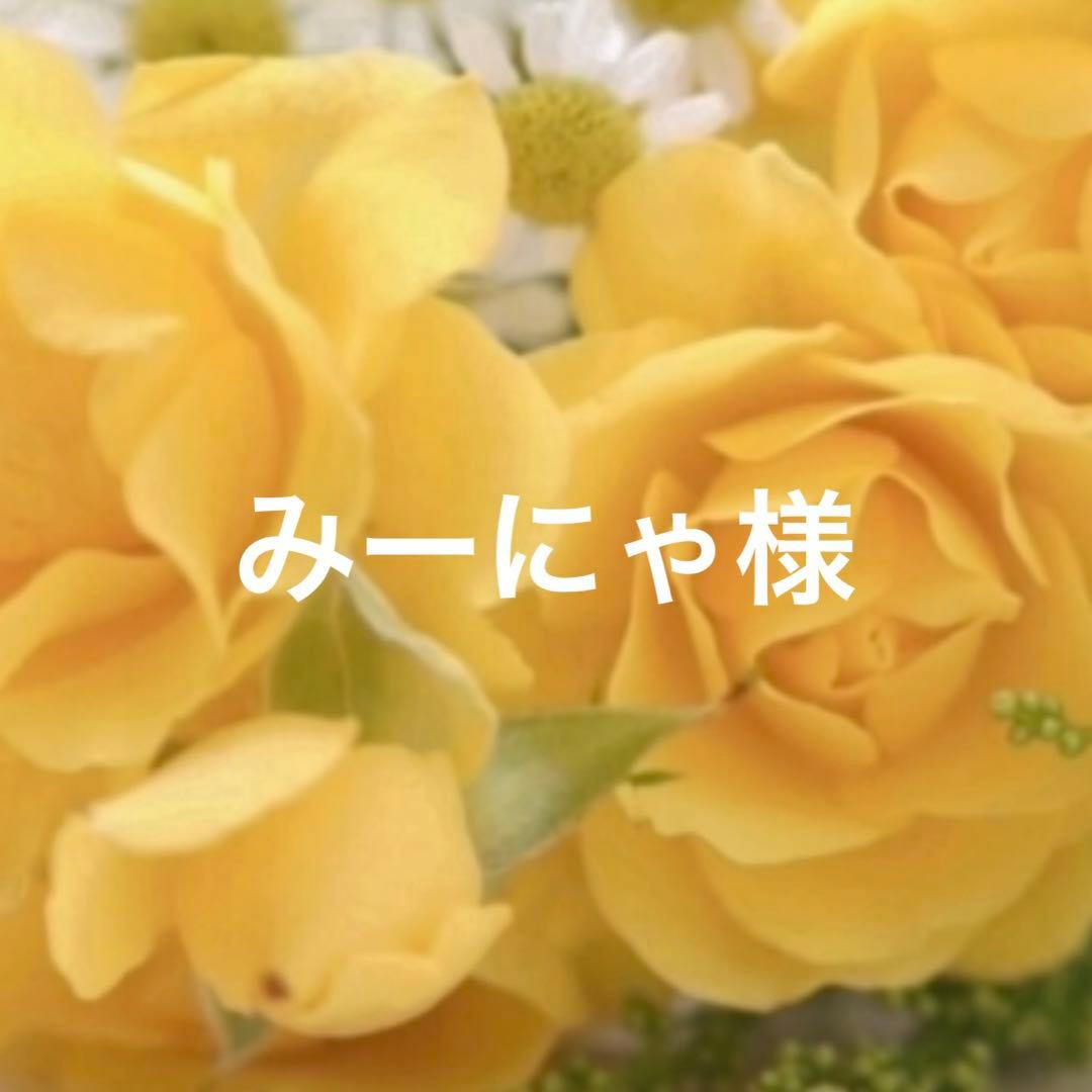 シェリーメイ用コスチューム Disney（ディズニー） シェリーメイ 服 着せ替え コスチューム マイ