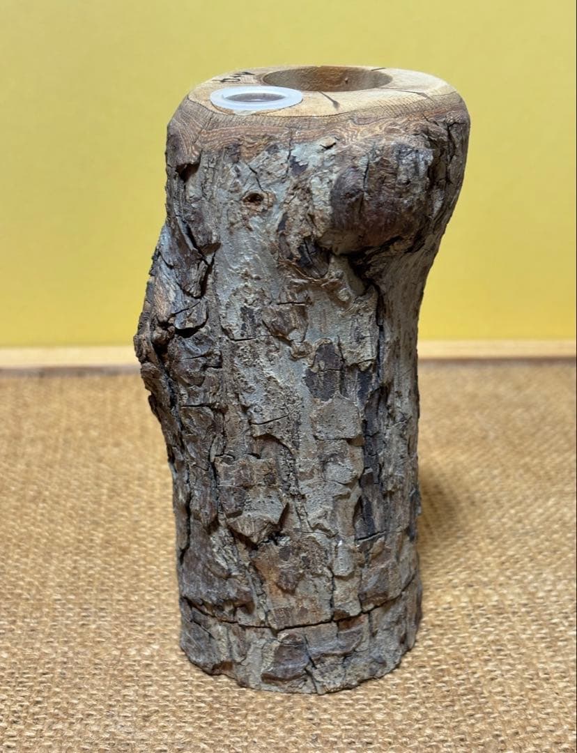 三本木 森兵衛☆希少入手困難A+Ωクラフトウッド（クワリウム）クワガタ