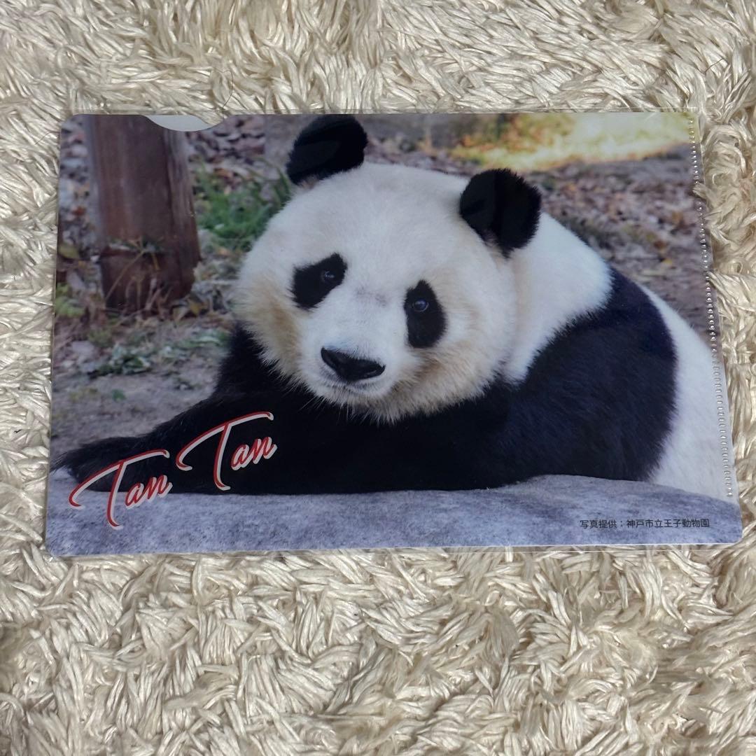 パンダ タンタンさん クリアファイル - メルカリ