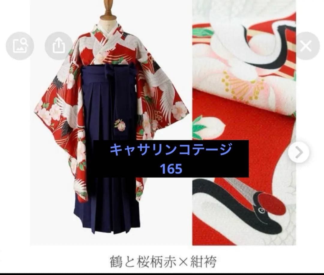 キャサリンコテージ　袴セット　鶴と桜柄　165 小学生　大学生 Catherine Cottage（キャサリンコテージ） 超目玉セール｜袴 小学校