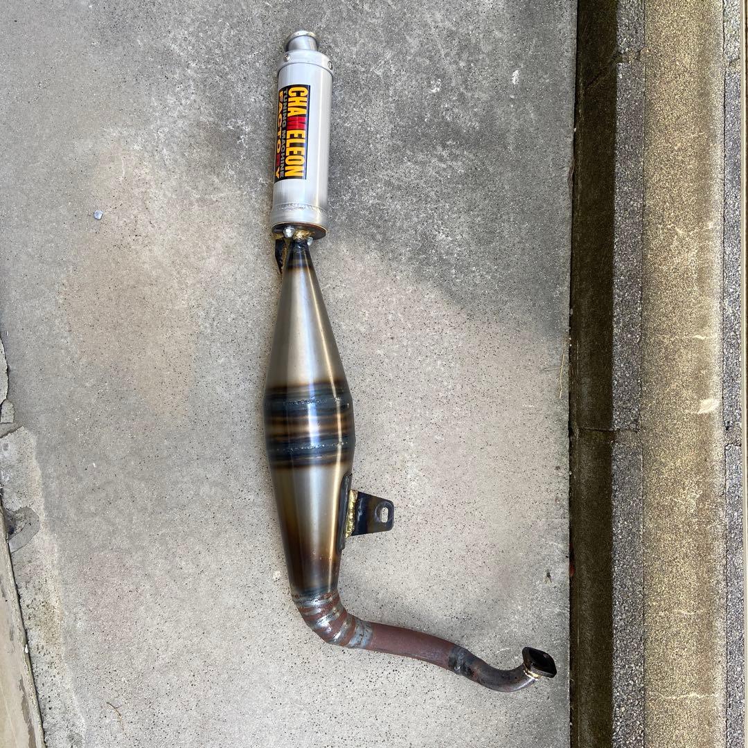 カメレオンファクトリー パラライザー3 ライブDIO ZX用 - メルカリ