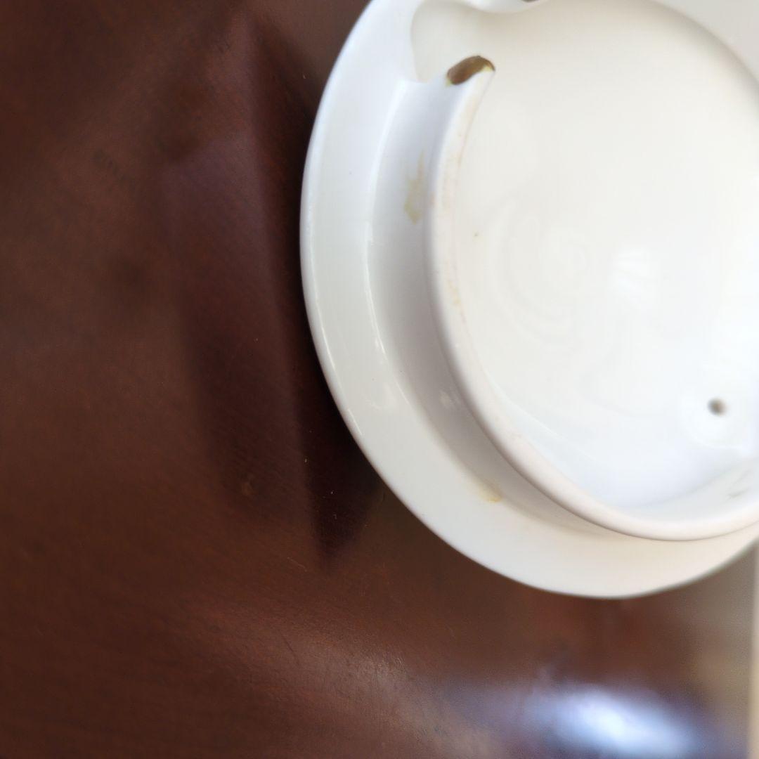 シェリー＊SHELLY＊ワイルドフラワー＊2人用ポット＊おまけつき