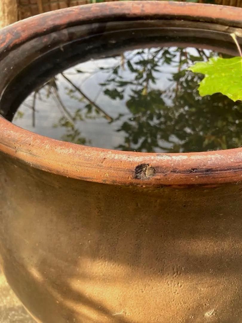 ぶーちゃん様専用。【存在感抜群！時代物 陶器の大型甕 古い壺 。茶褐色。