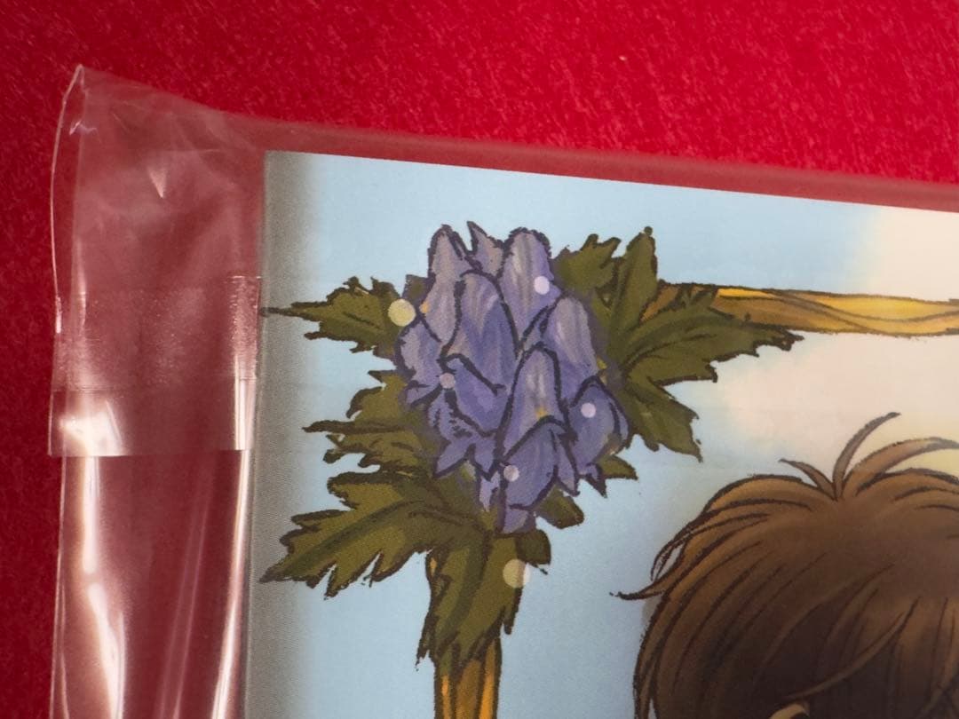 新品】コードギアス 反逆のルルーシュ 木村貴宏 イラスト集 ポスト