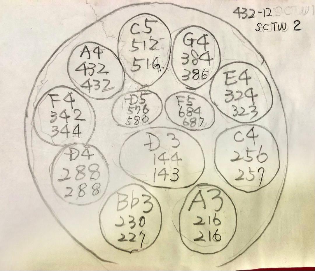 ハンドパン 56センチ 12音 A4＝432Hzでチューニング Dマイナー ハンド