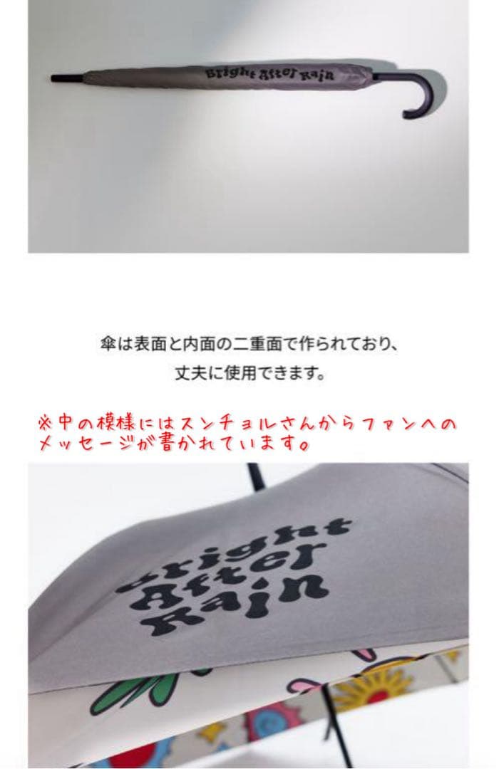 SEVENTEEN アーティストメイド エスクプス 傘(新品未使用:現品のみ