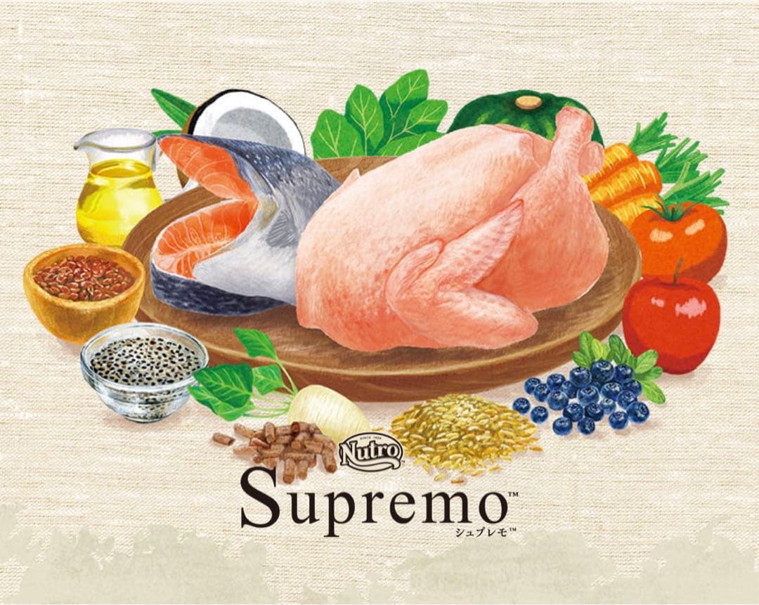 ニュートロ シュプレモ 成猫用（チキン&サーモン）（白身魚&チキン